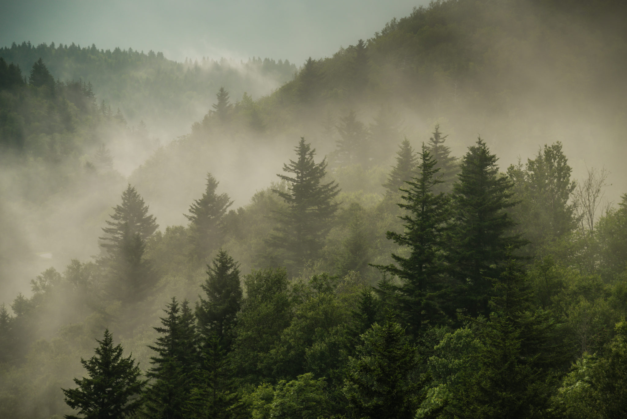 shutterstock_148011623